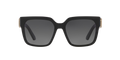 DIOR 30Montaigne S11I 12A1