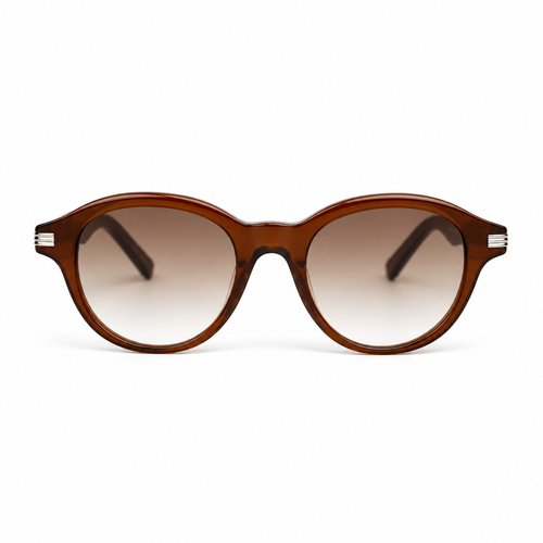 Lunettes de soleil EVATIKA, forme ovale, monture marron, verres marron