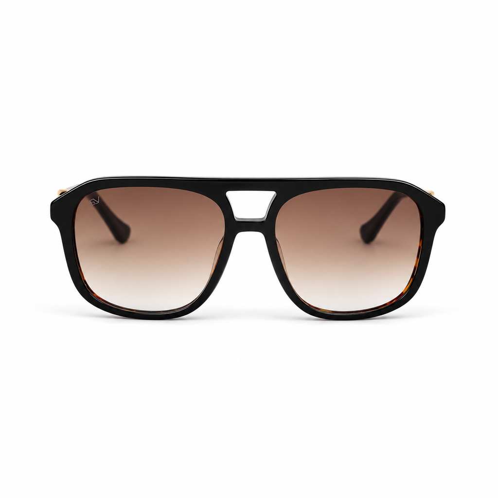 Lunettes de soleil EVATIKA, forme cat-eye, monture noir, verres marron