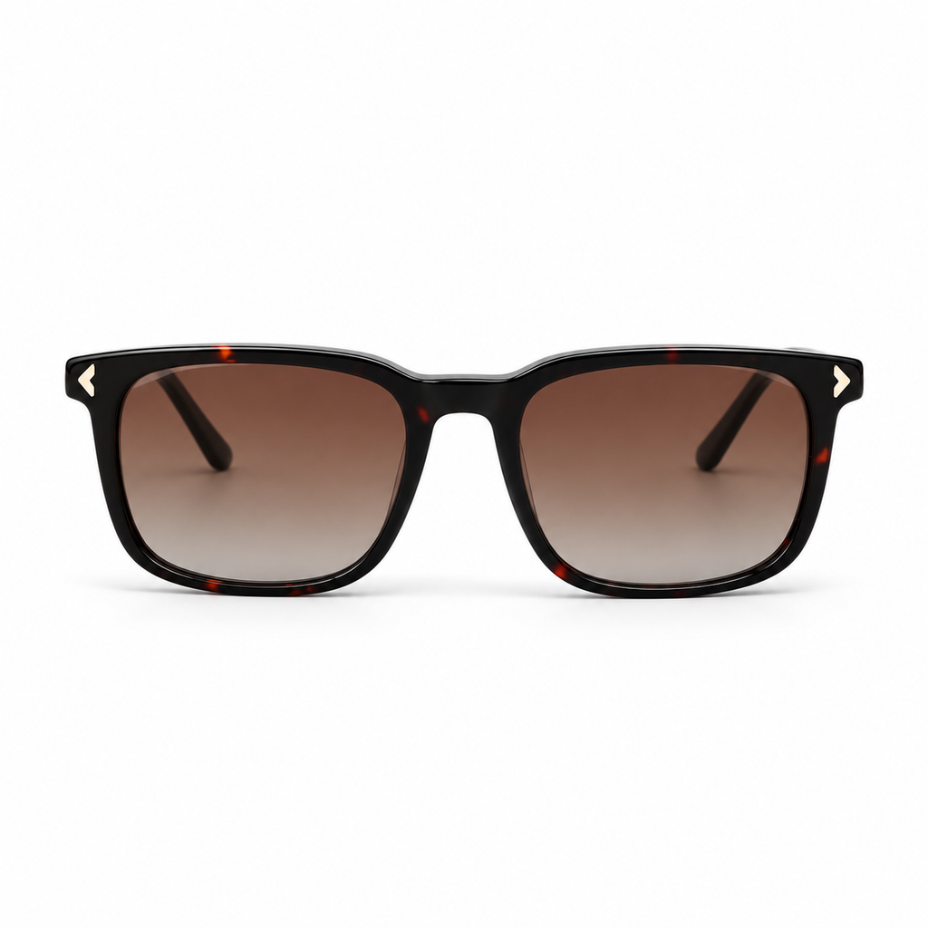Lunettes de soleil EVATIKA, forme cat-eye, monture noir, verres marron
