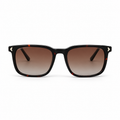 Lunettes de soleil EVATIKA, forme cat-eye, monture noir, verres marron
