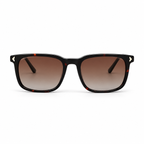 Lunettes de soleil EVATIKA, forme cat-eye, monture noir, verres marron