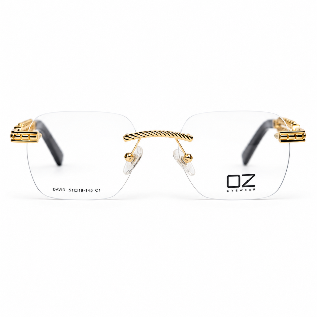 OZ Eyewear David C1 51-19-145