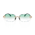 RENAISSANCE EYEWEAR DSC05014 - vue de face