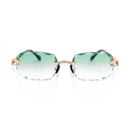RENAISSANCE EYEWEAR DSC05014 - vue de face