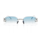RENAISSANCE EYEWEAR DSC05019 - vue de face