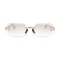 RENAISSANCE EYEWEAR DSC05021 - vue de face
