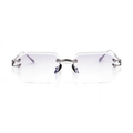 RENAISSANCE EYEWEAR DSC05030 - vue de face